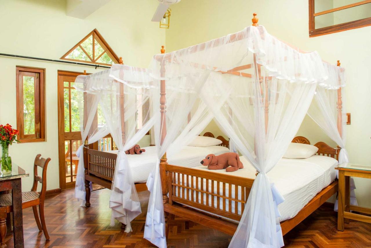 Villa Rosa Kandy Esterno foto